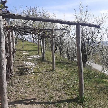Casa Nebieu In Edificio Indipendente Nel Centro Di Monforte Monforte dʼAlba Zewnętrze zdjęcie